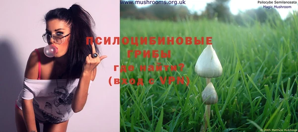 PSILOCYBIN Алзамай