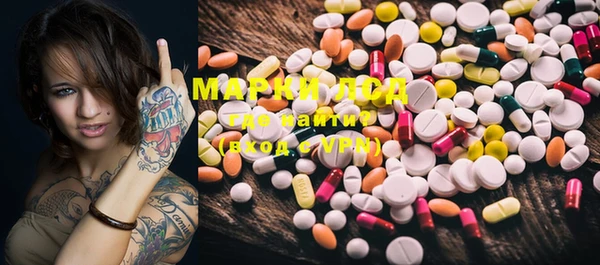 PSILOCYBIN Алзамай